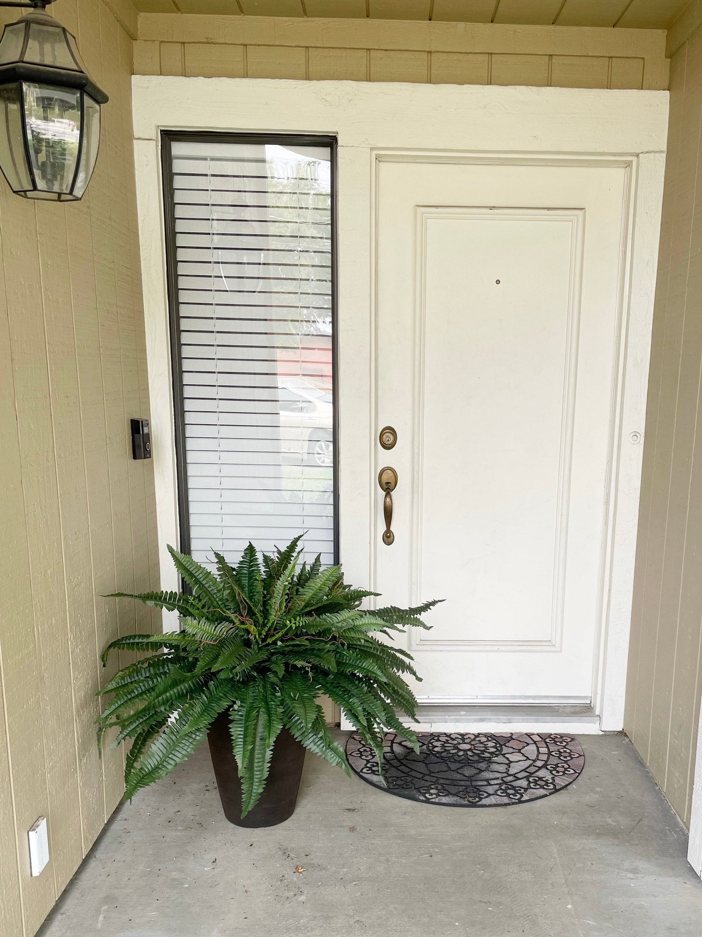 Last Day 80% OFF--UV Resistant Lifelike Artificial Boston Fern🍀