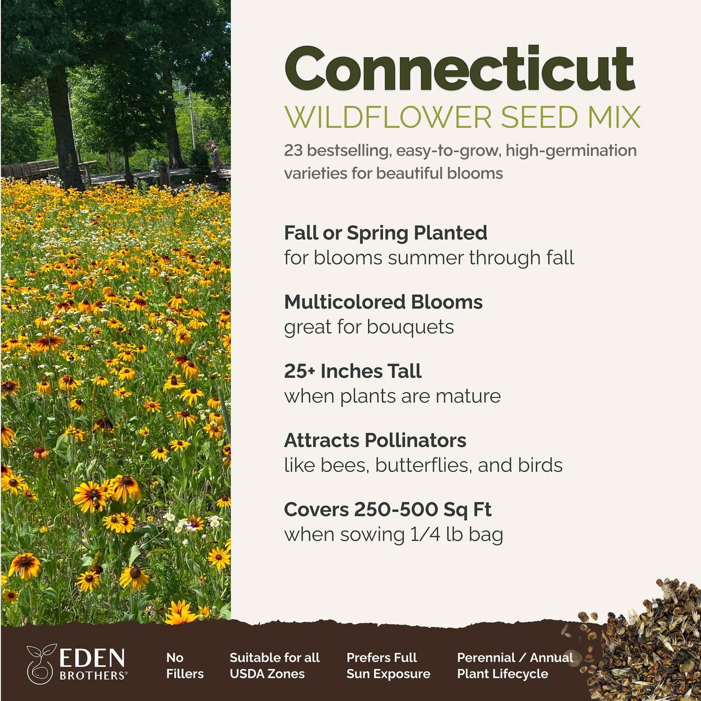 Connecticut Wildflower Seed Mix