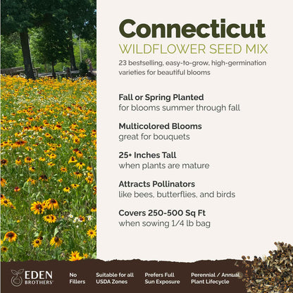 Connecticut Wildflower Seed Mix