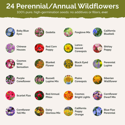 Idaho Wildflower Seed Mix