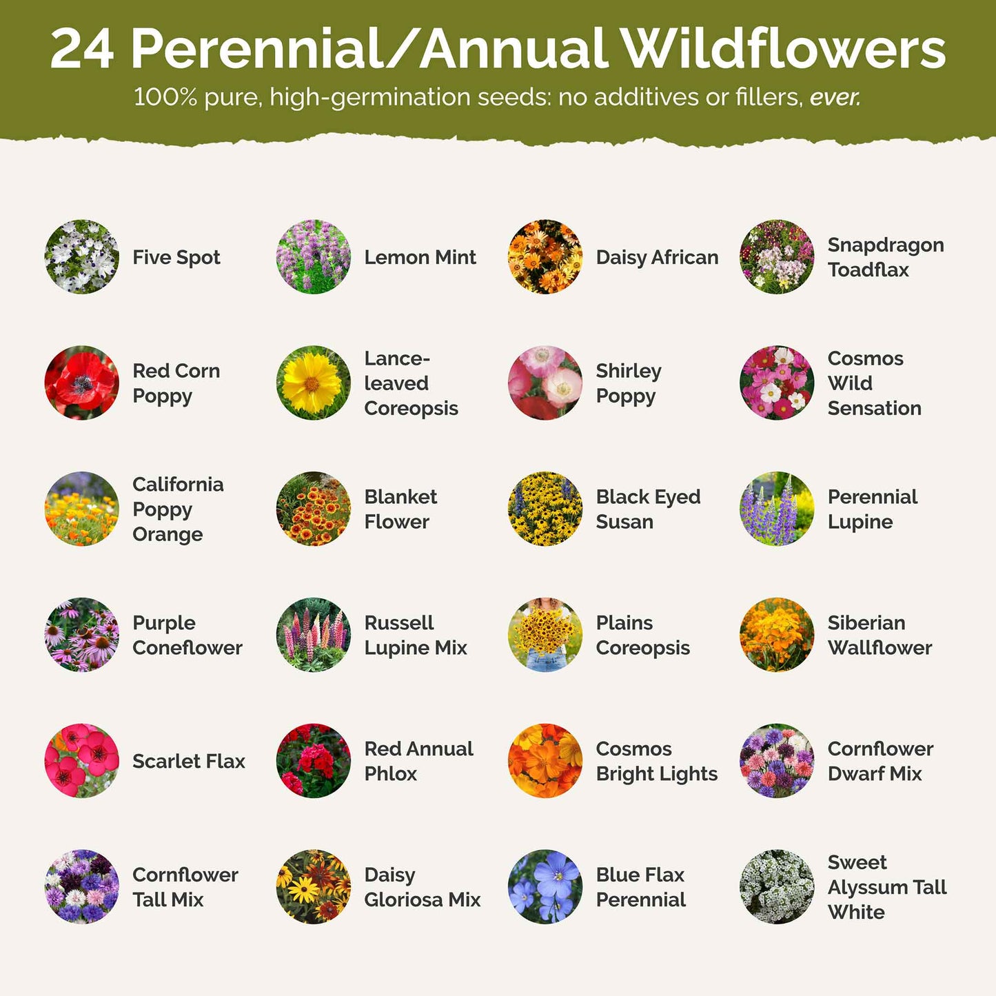 Kentucky Wildflower Seed Mix