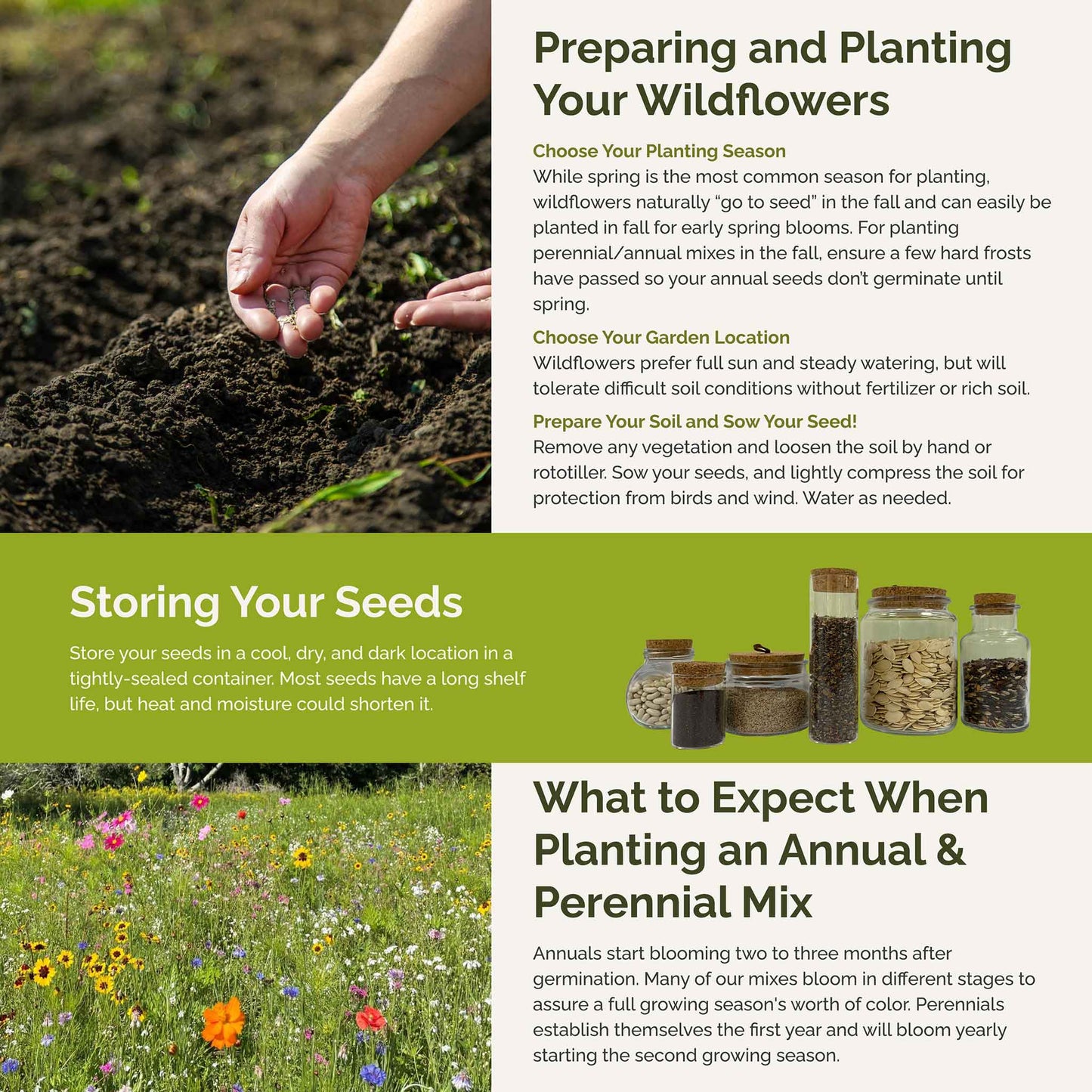 Kentucky Wildflower Seed Mix