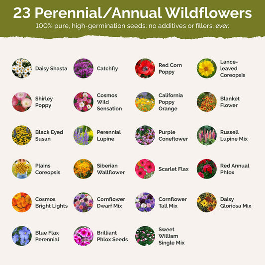 Maine Wildflower Seed Mix