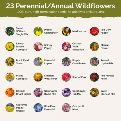 Minnesota Wildflower Seed Mix