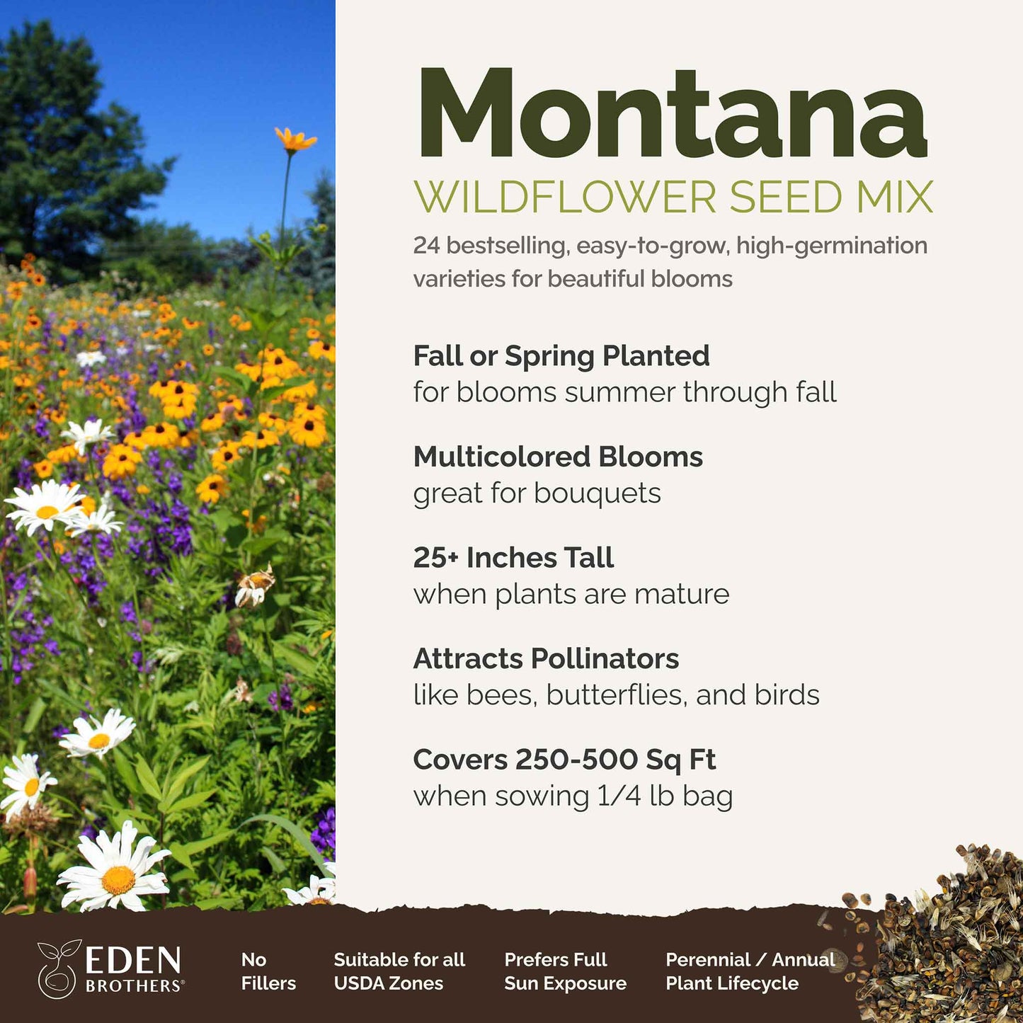 Montana Wildflower Seed Mix