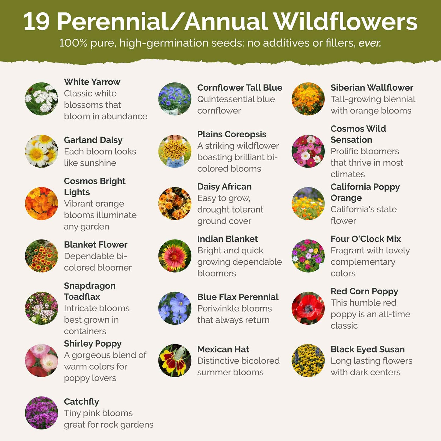 Nevada Wildflower Seed Mix