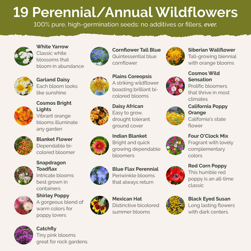 New Mexico Wildflower Seed Mix