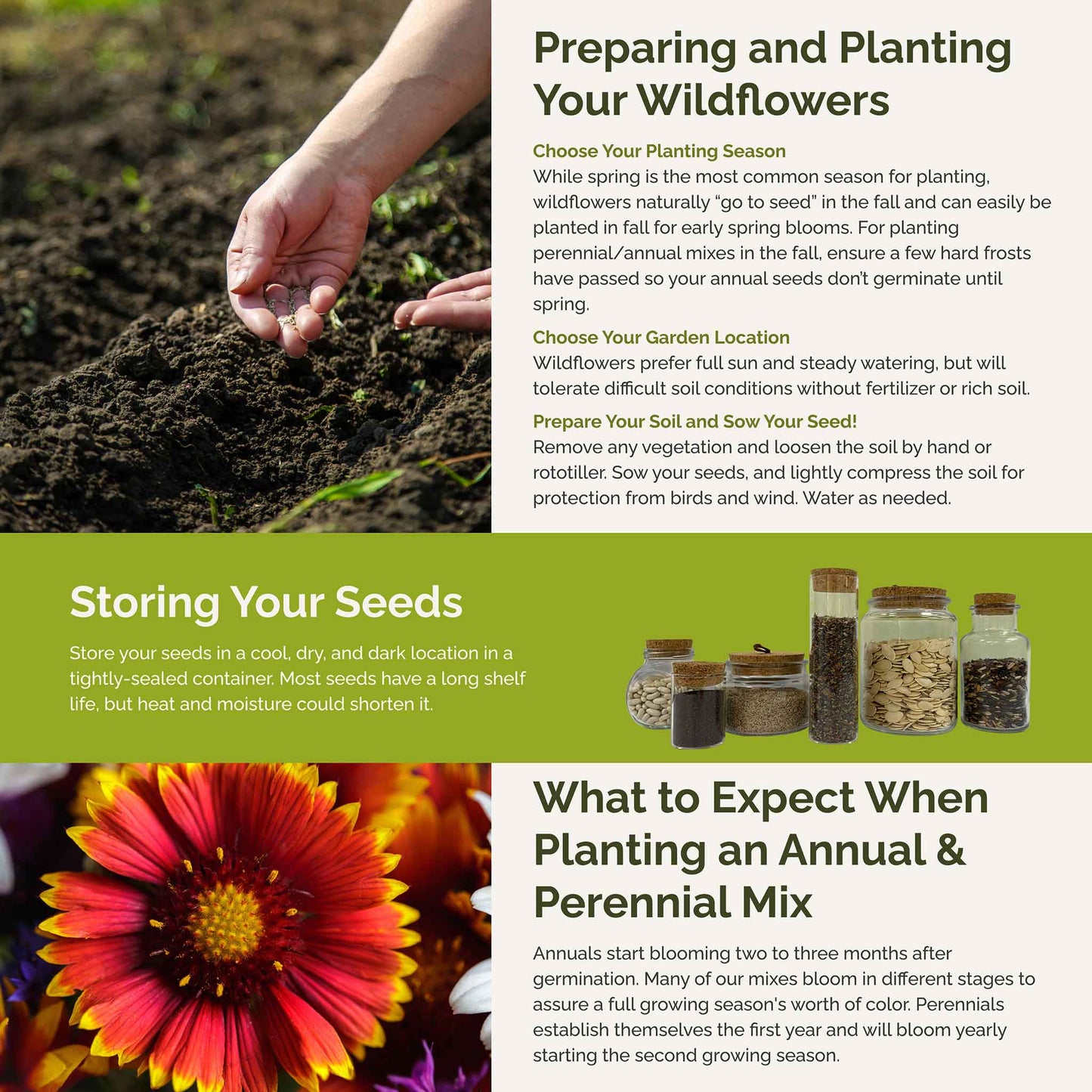 New Mexico Wildflower Seed Mix