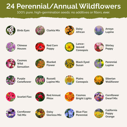 Oklahoma Wildflower Seed Mix
