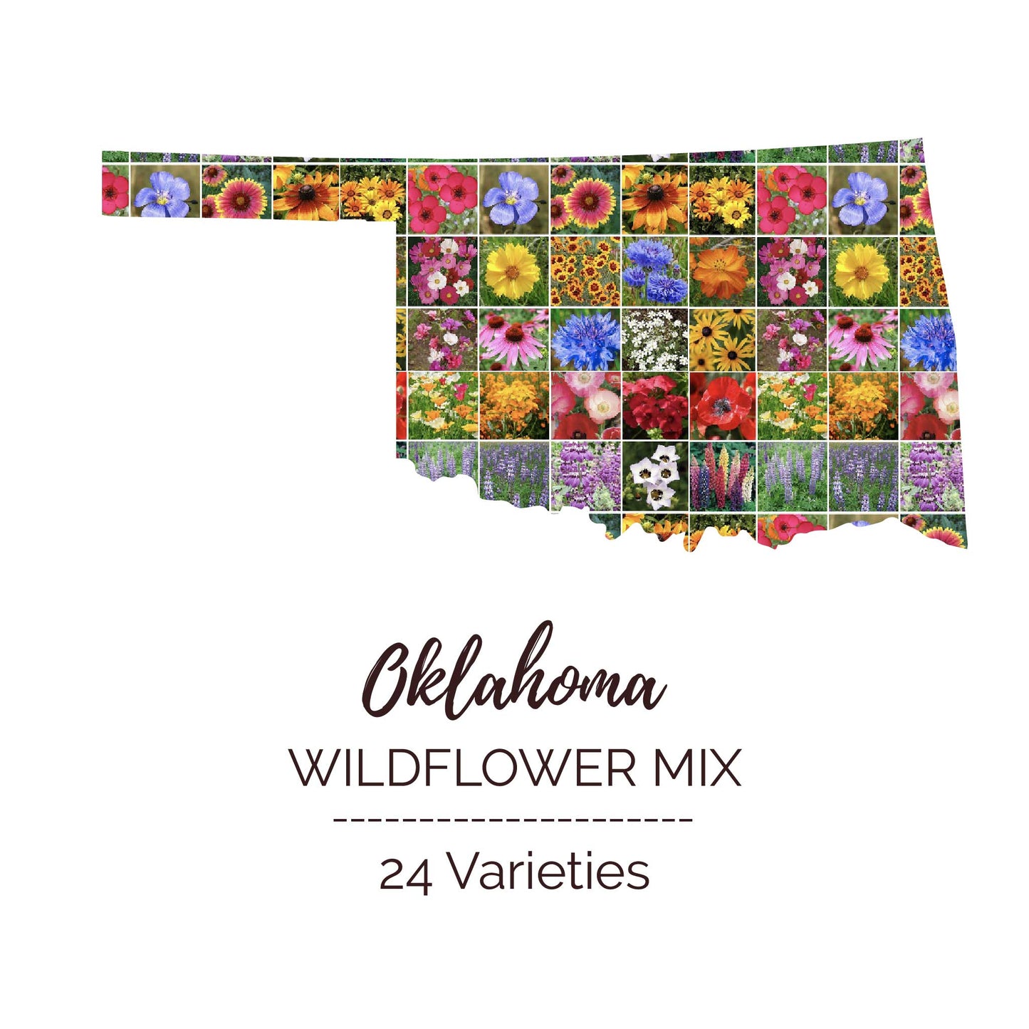 Oklahoma Wildflower Seed Mix