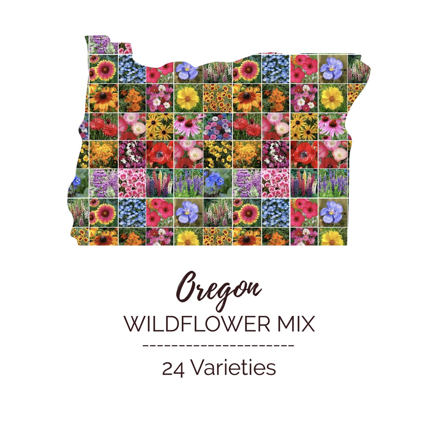 Oregon Wildflower Seed Mix