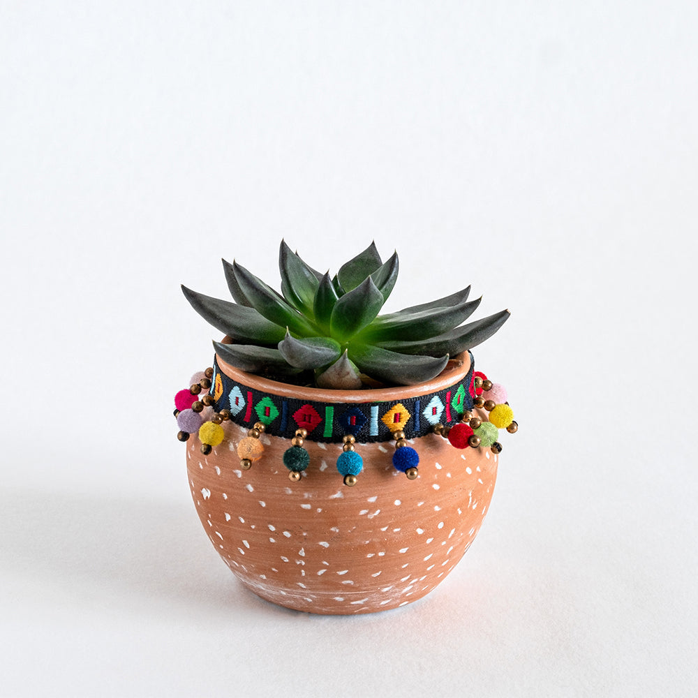 Tropical Bliss Plant Stand