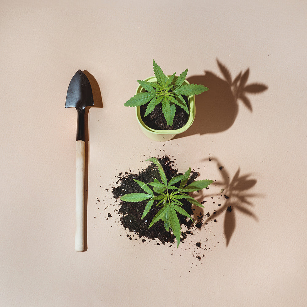 Classic Ceramic Pot Set