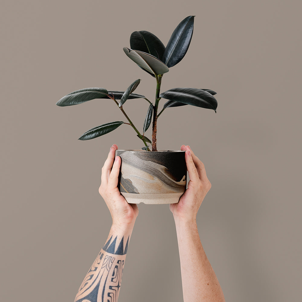 Vintage Terracotta Pots