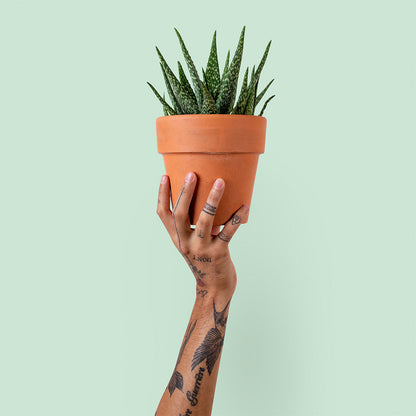 Modern Metallic Planter