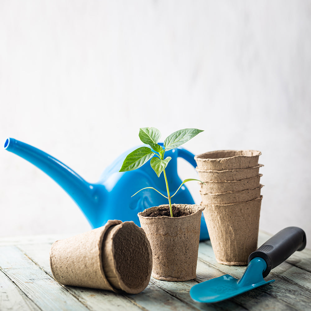 Hanging Herb Garden