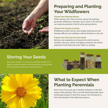 Rock Garden Perennial Wildflower Seed Mix