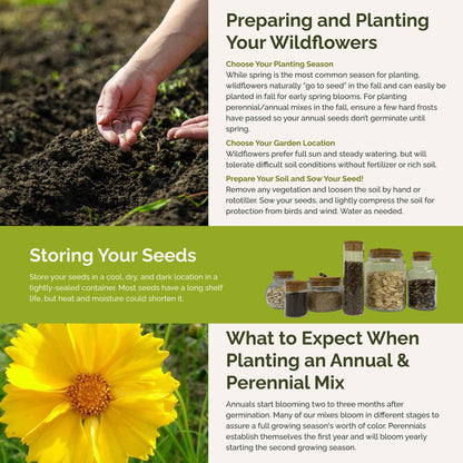 South Carolina Wildflower Seed Mix