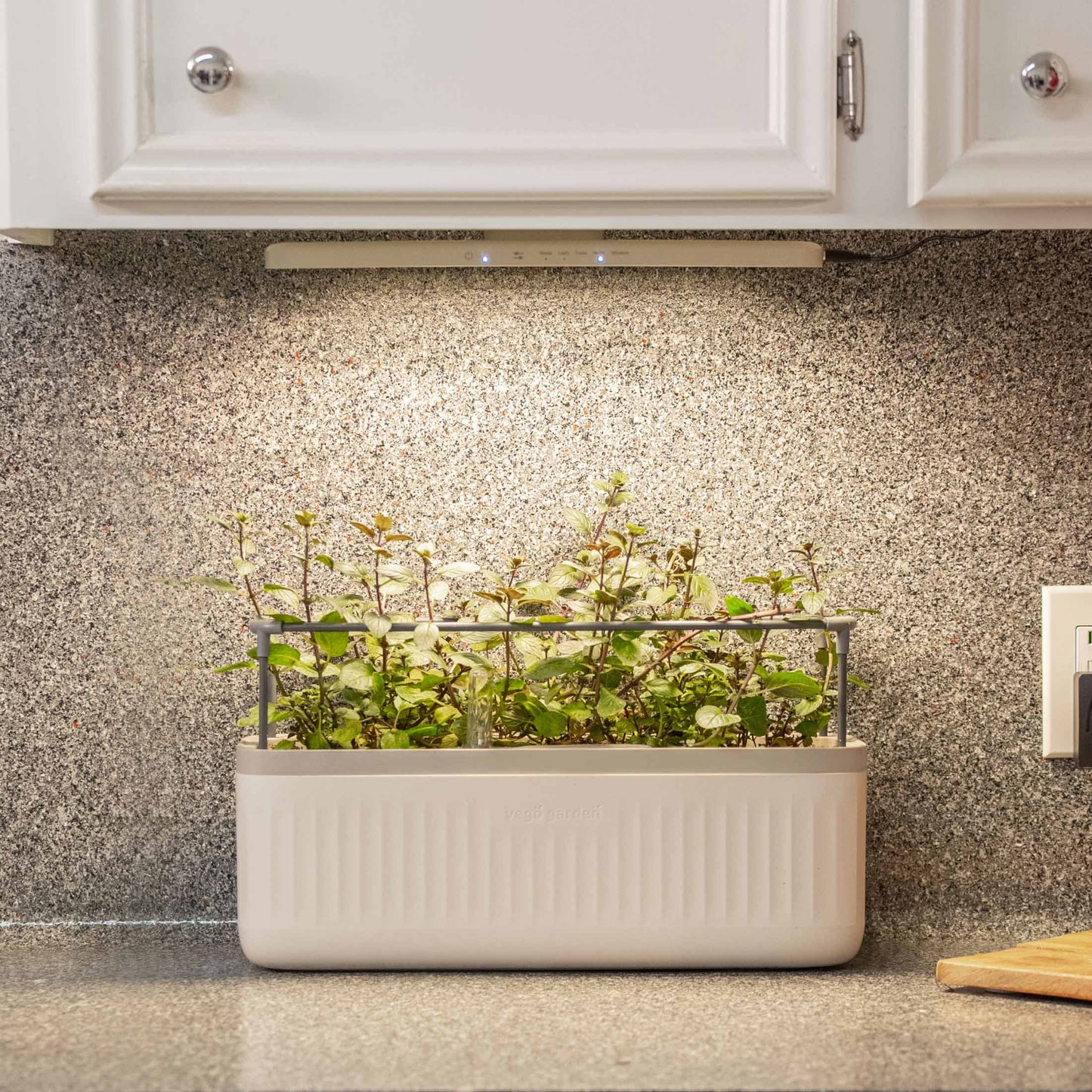 The Vego Grow Light