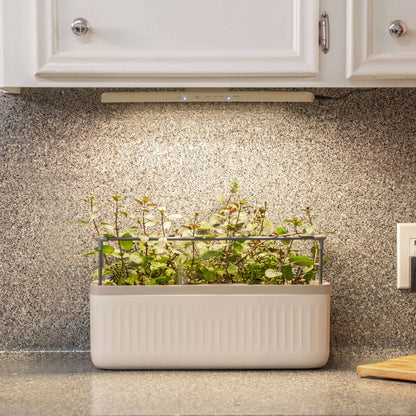 The Vego Grow Light