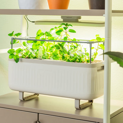 The Vego Grow Light